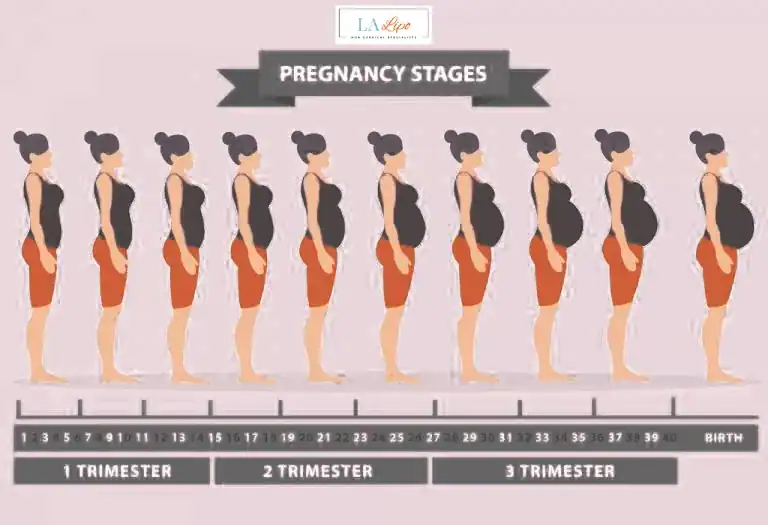 First Trimester (Weeks 1–12): Early Changes You Might Not Notice Kingston Vale